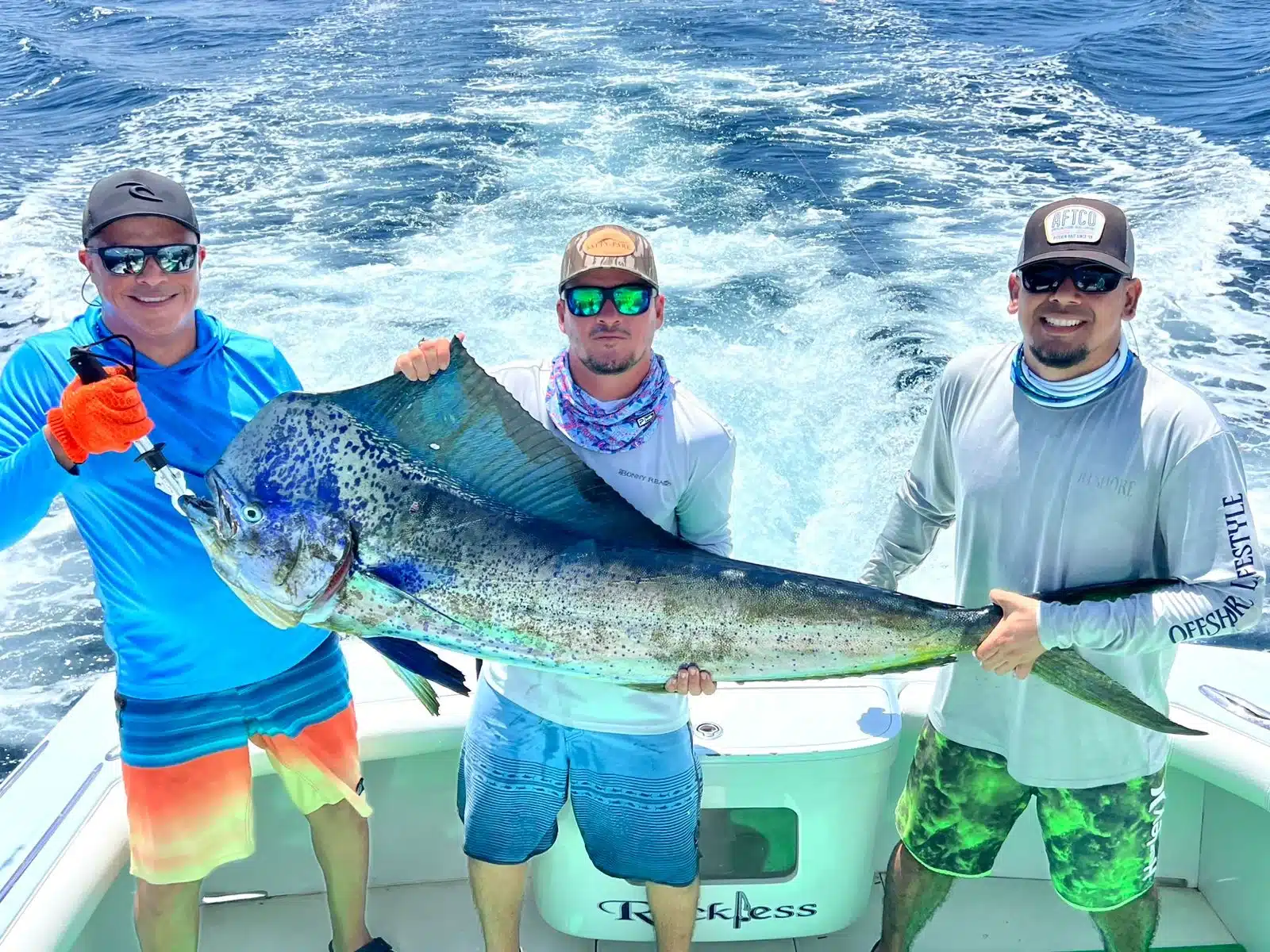 Mahi Mahi Costa Rica Mahi Mahi Costa Rica