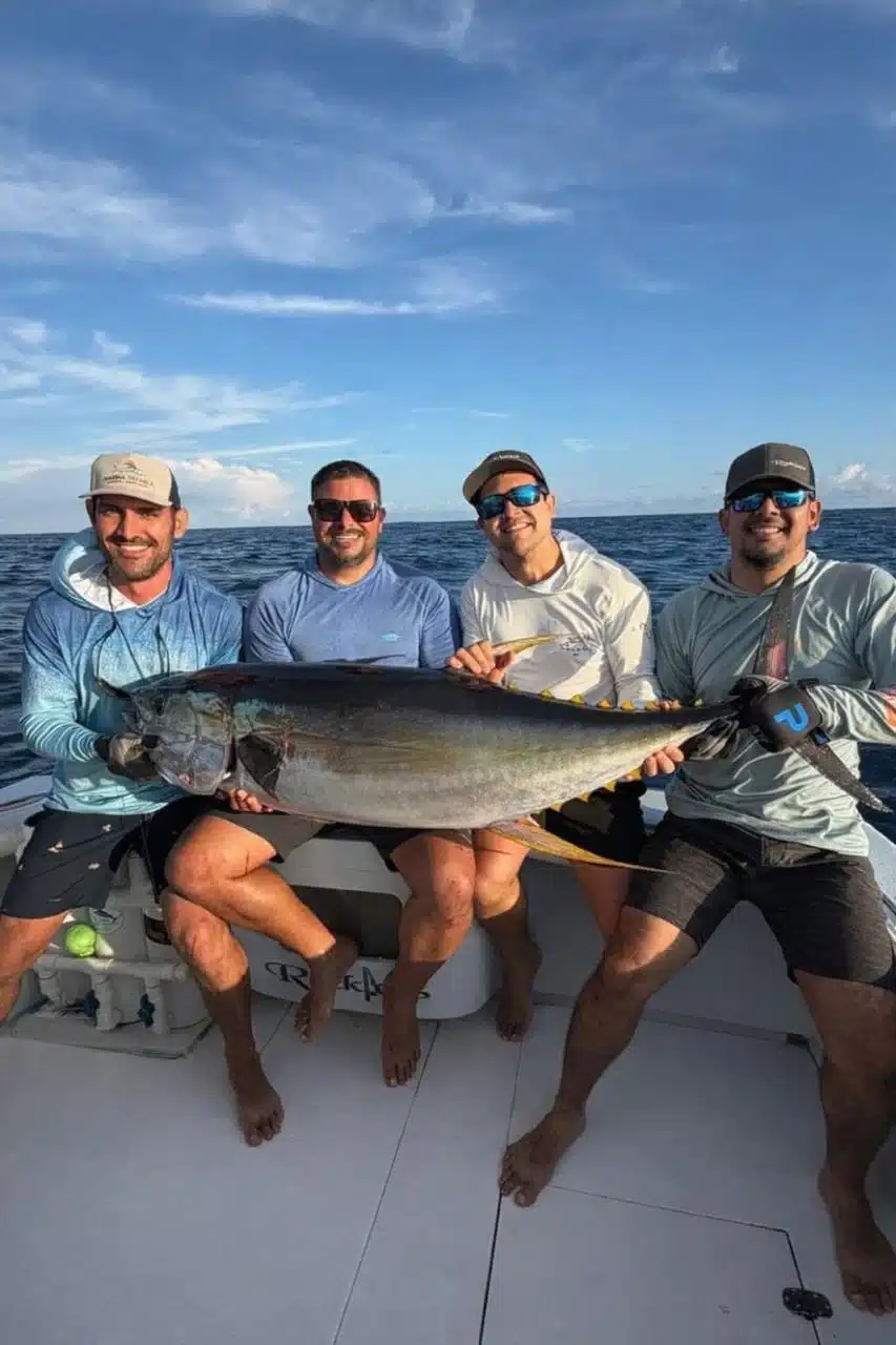 Yellow Fin Tuna Costa Rica Yellow Fin Tuna Costa Rica