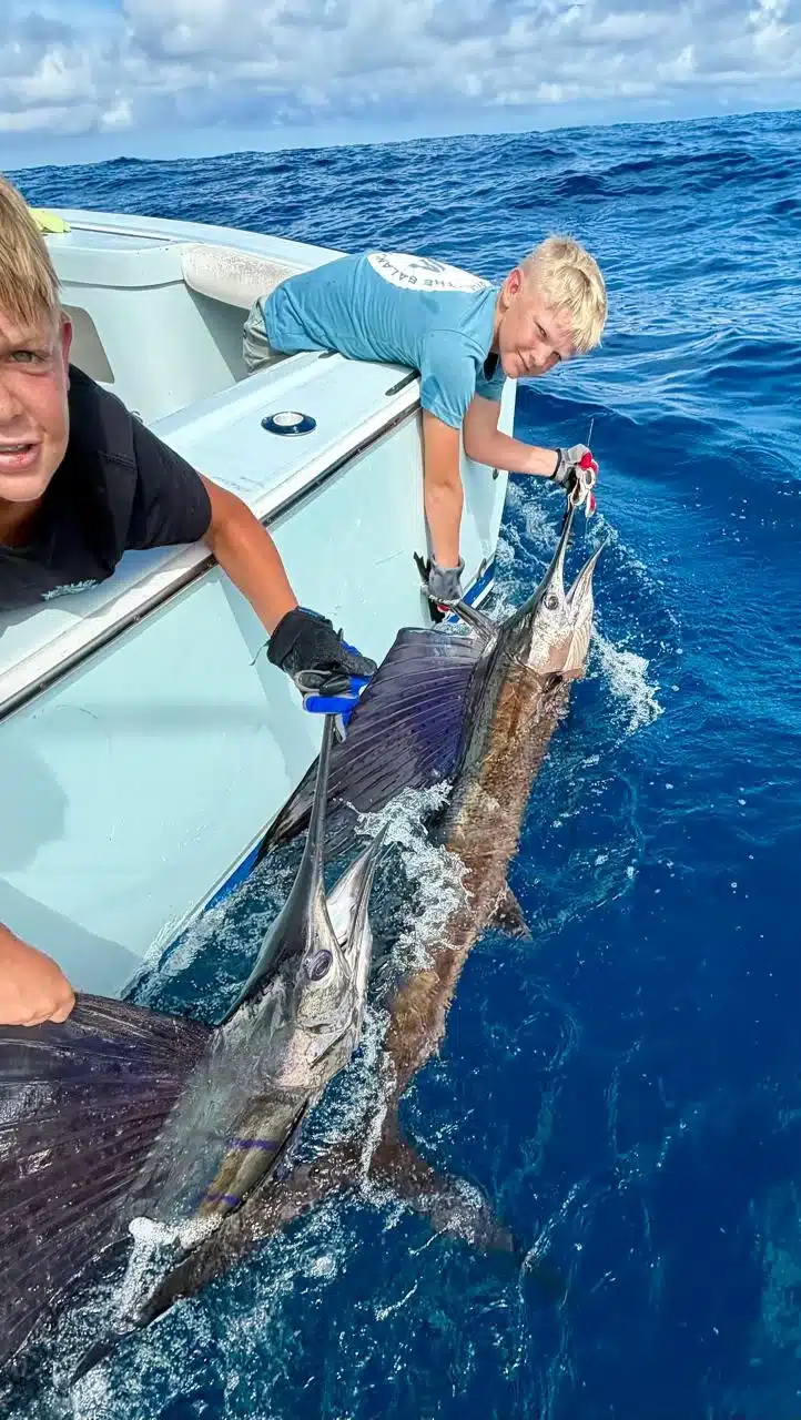 Two Sailfish Costa Rica Two Sailfish Costa Rica