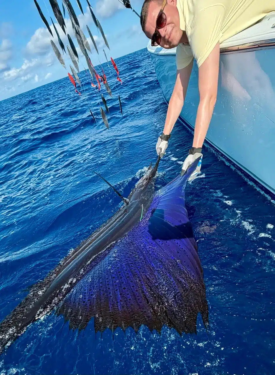 Sailfish Costa Rica Sailfish Costa Rica