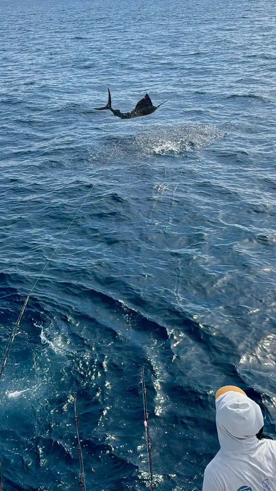 Sailfish Costa Rica Sailfish Costa Rica