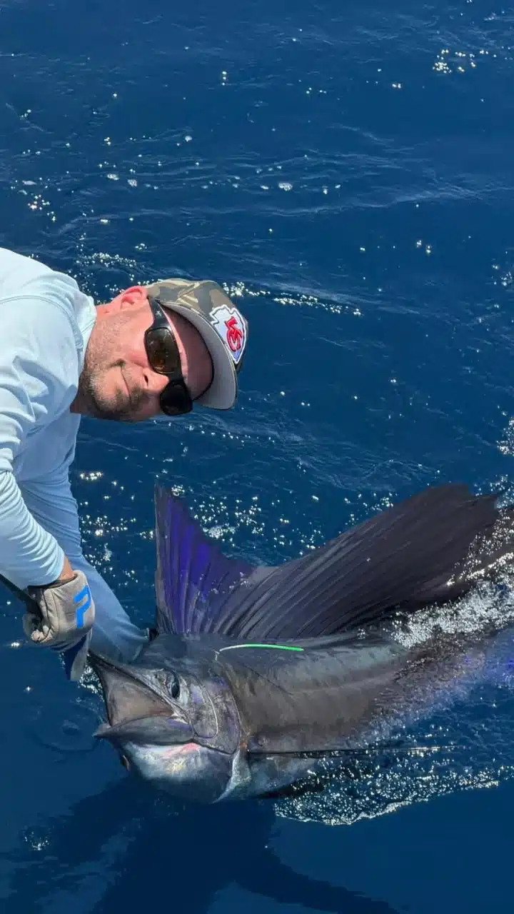 Sailfish Costa Rica Sailfish Costa Rica