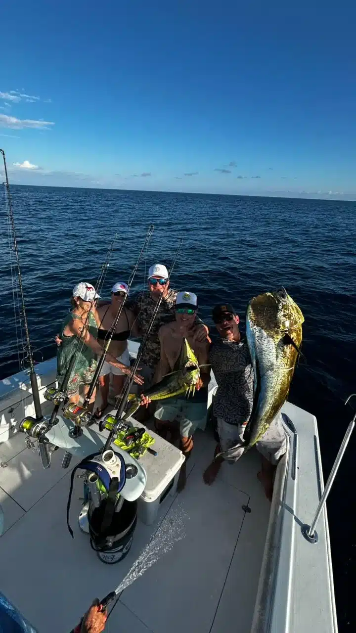 Two Mahi Mahi Costa Rica Two Mahi Mahi Costa Rica