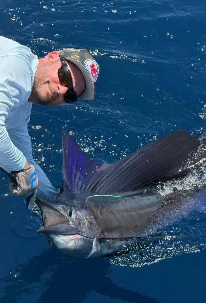 reckless sport fishing images – sailfish costa rica reckless sport fishing images - sailfish costa rica